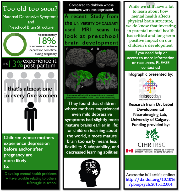 Depression and Brain Structure Infographic